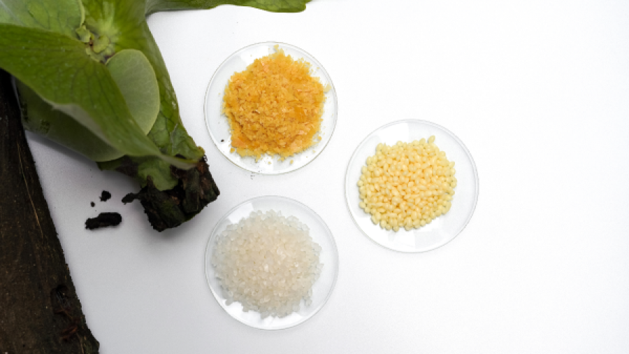 benefits-of-using-citric-acid-on-candelilla-wax-extraction