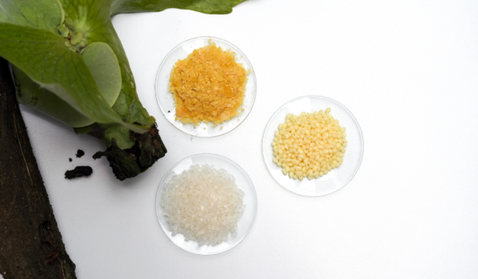benefits-of-using-citric-acid-on-candelilla-wax-extraction