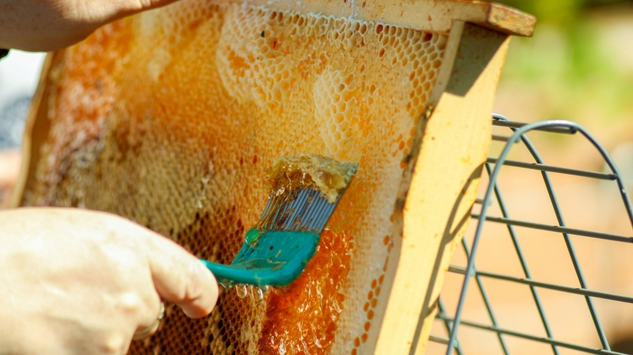 Cera de abeja